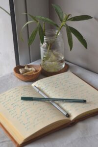Journaling